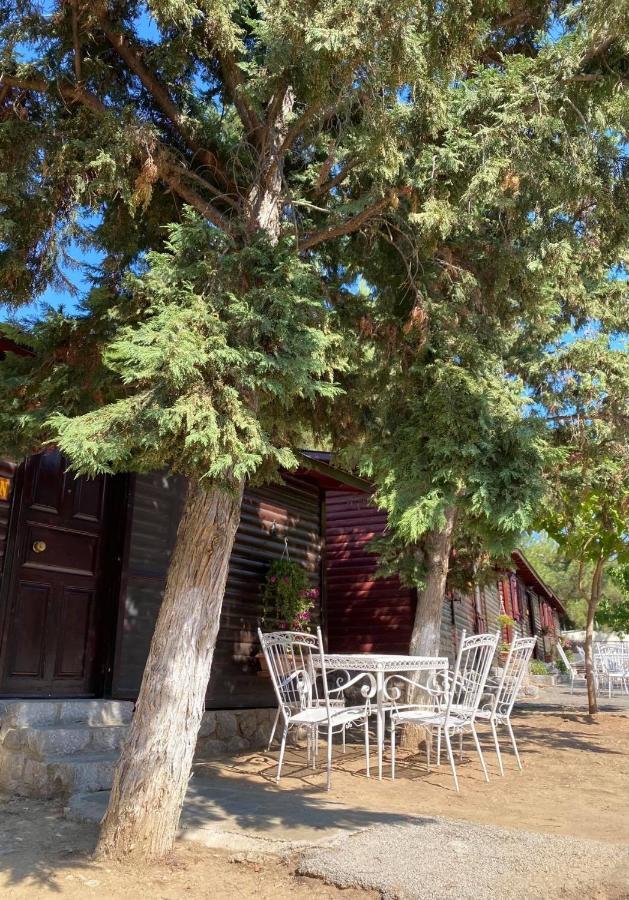 Bungalow - Camping Apollon Delfos Exterior foto