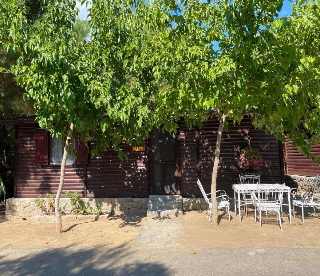Bungalow - Camping Apollon Delfos Exterior foto